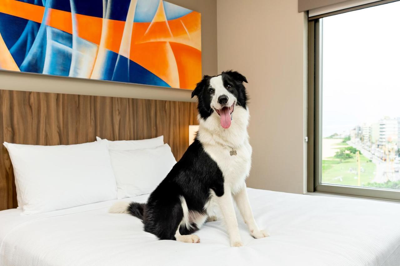 Hyatt Place מסאה מראה חיצוני תמונה